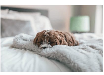 ductless heating benefits in Puyallup