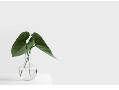 HVAC system and germs in Puyallup