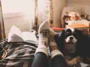 furnace tune-up pierce county