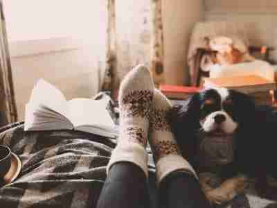 furnace tune-up in Puyallup