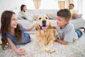 HVAC project Gallery - Indoor Air Quality picture box 1