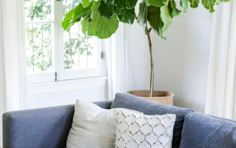 Indoor Air Quality - Screenshot 2024 05 15 221852